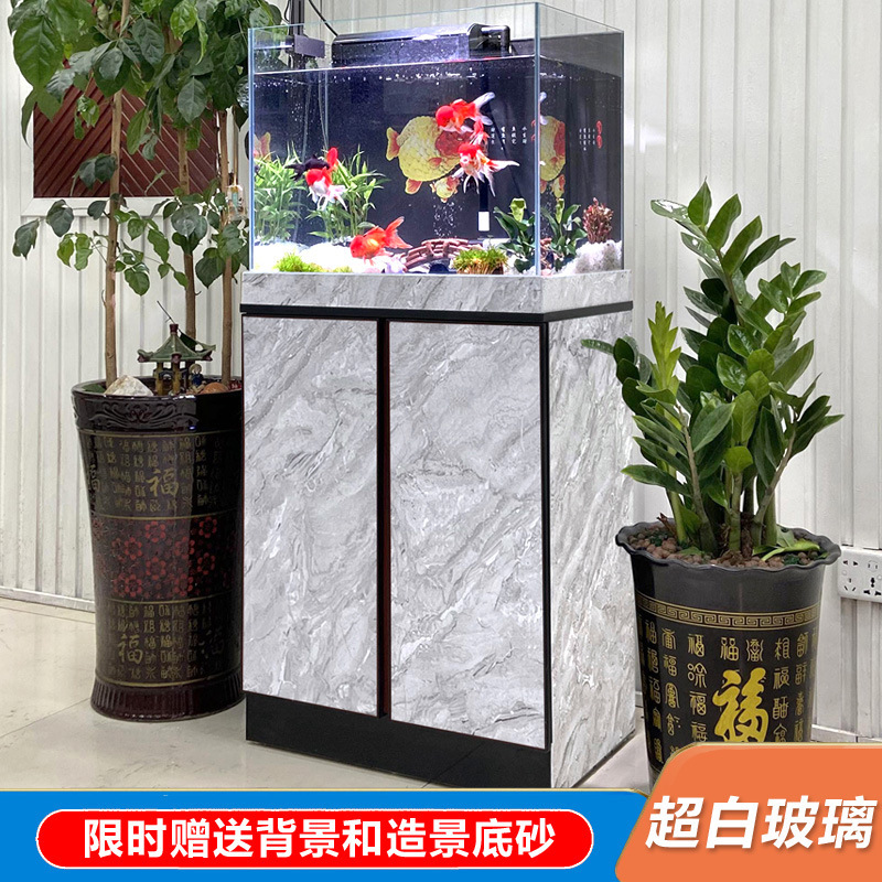Một bể cá nhà với một cái bể cá trắng cực trắng mới khỏa thân với một bể chứa cỏ dày gia đình thủy cung đặc biệt nhỏ