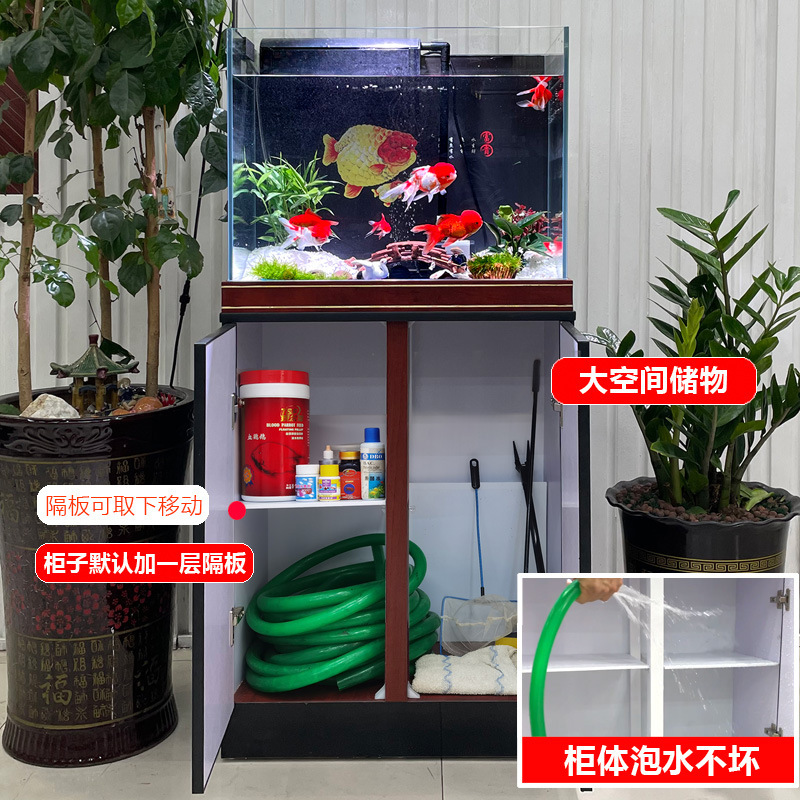 Một bể cá nhà với một cái bể cá trắng cực trắng mới khỏa thân với một bể chứa cỏ dày gia đình thủy cung đặc biệt nhỏ