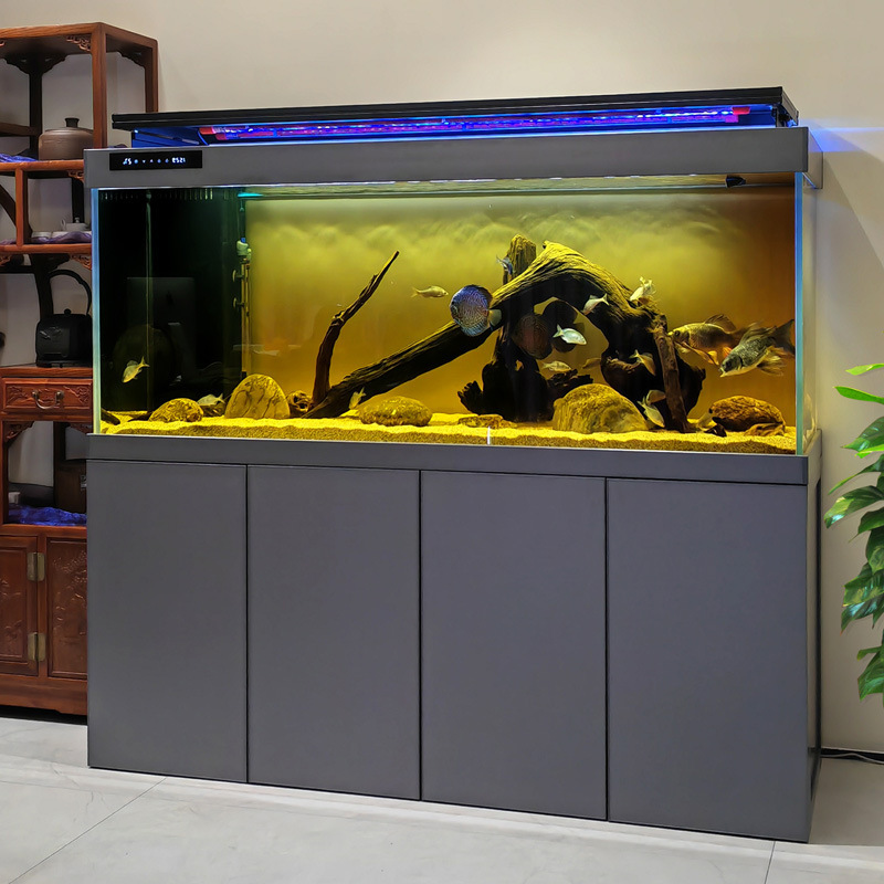 Phòng khách siêu trắng để lọc cá rồng.