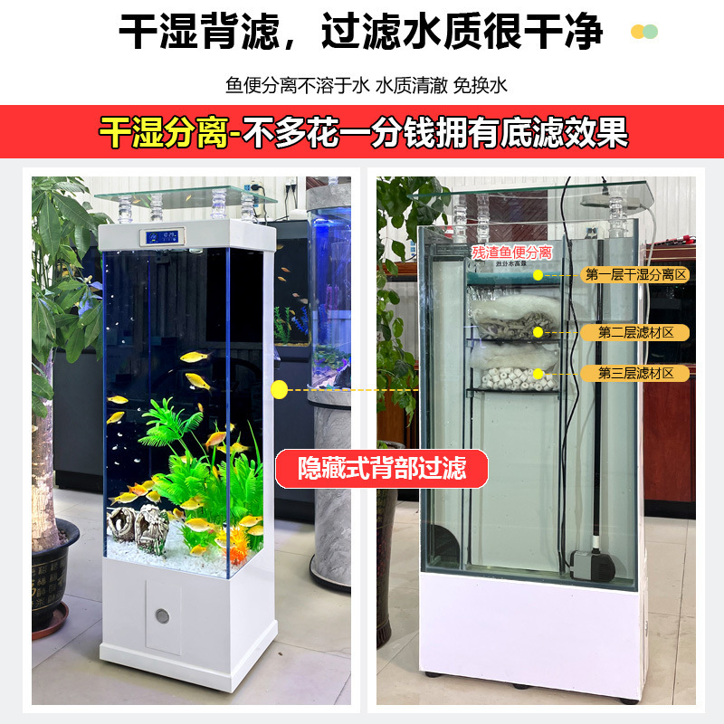 Một cái bể cá siêu trắng nhỏ, cỡ trung của một chiếc xe tăng cá siêu trắng đâm vào một bể cá mà không thay đổi nước thành một bể vàng.