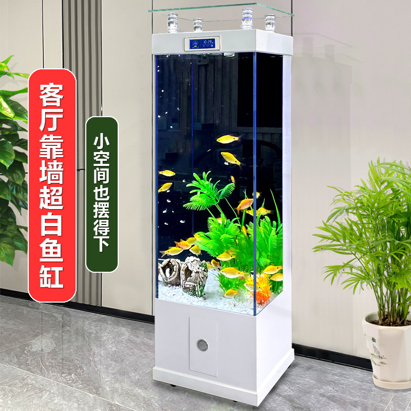 Một cái bể cá siêu trắng nhỏ, cỡ trung của một chiếc xe tăng cá siêu trắng đâm vào một bể cá mà không thay đổi nước thành một bể vàng.