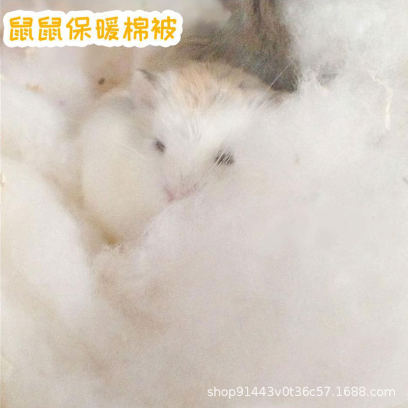 Bông Hamster được làm nóng bởi những con chuột bông.