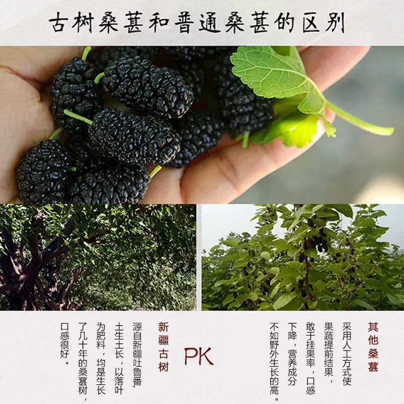 Không nguồn Shasang, OEM San-Sang-san-san-san-san-sang-san-sun-sun-sun-sun-sun-sun-sun-sun-sun-sun-sun-sun-sun-sun-sun-sun-sun-sun-sun-sun-sun-sun-sun-sun-un-sun-un-sun-sun-sun-un-sun-sun-sun-sun-sun-sun-sun-sun-sun-sun-sun-sun-sun-sun-sun-sun-sun-sun-sun-sun-un-un-sun-sun-s-sun-un-s-un-un-un-sun-un-un-s-s-un-un-un-s-un-un-s-un-un-s-s-s-un-s-s-un-s-s-un-un-un-un-un-un-s-s-