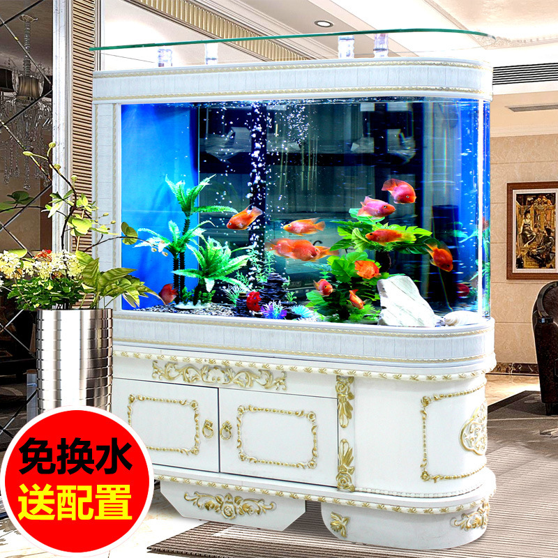 Một bể lọc cá cỡ trung bình 1, 2m cho bể cá đầu đạn châu Âu.