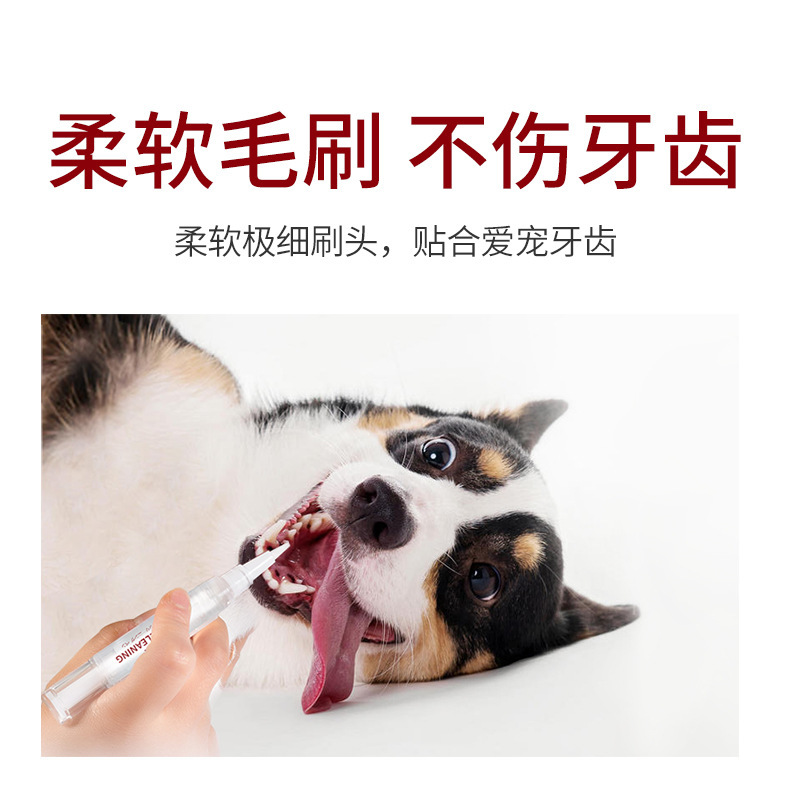 KOJIMA pet-cleaning tooth pen + beautiful tooth pen