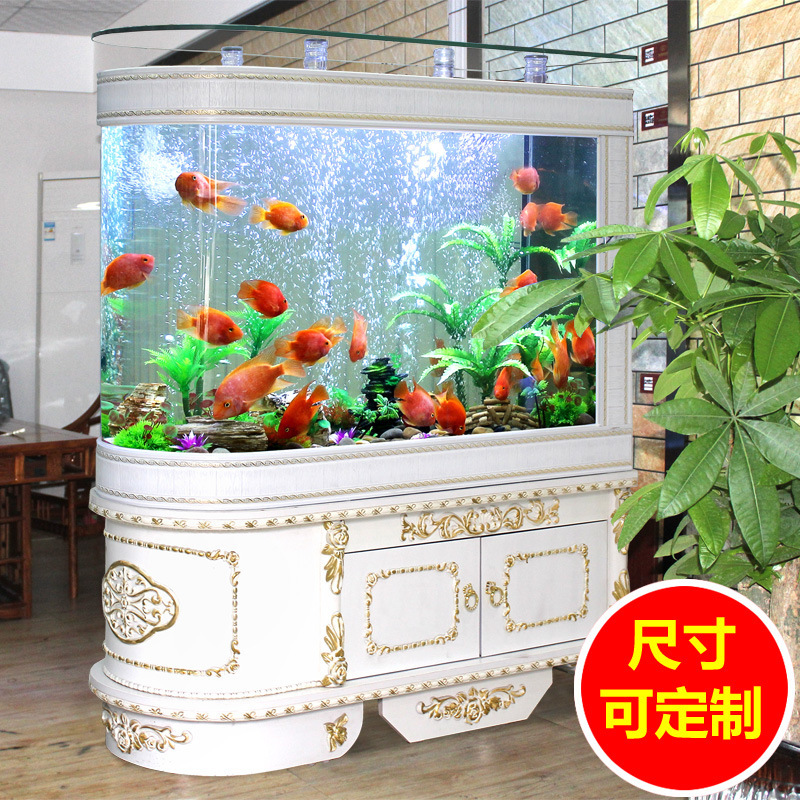 Một bể lọc cá cỡ trung bình 1, 2m cho bể cá đầu đạn châu Âu.