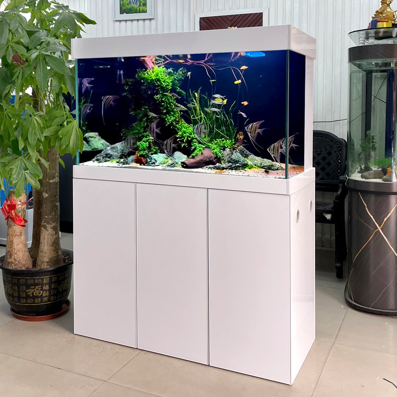 Phòng khách siêu trắng để lọc cá rồng.