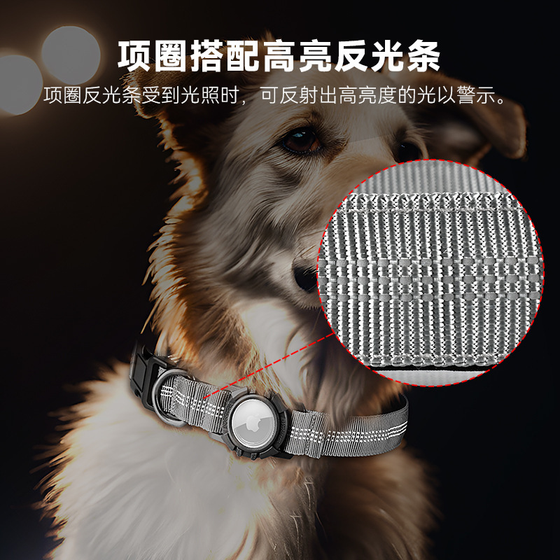 Cổ áo con chó máy bay với vòng cổ trong suốt trên những thứ tiện lợi nước và cổ áo bảo vệ chống ma túy