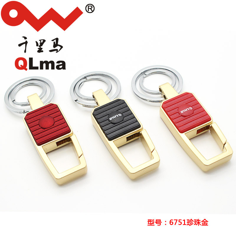 Toàn bộ xe của đàn ông với chìa khóa đến chìa khóa kim loại mới để thăng chức.