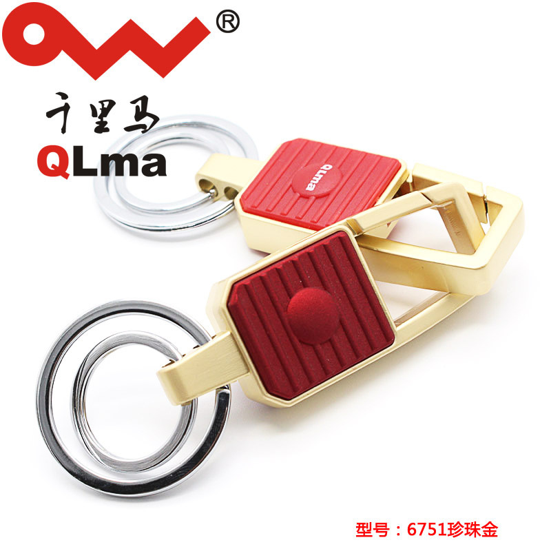 Toàn bộ xe của đàn ông với chìa khóa đến chìa khóa kim loại mới để thăng chức.