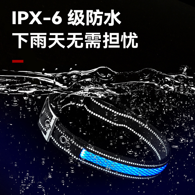 Đèn LED thú cưng của chúng ta, nút kẹp cổ áo, loại C không thấm nước, rồi lăn chúng ra vào ban đêm.
