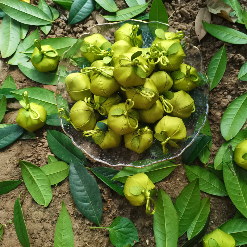 Mùi thơm xanh của túi trái cây và một món quà vào buổi trưa từ loại rau củ củ.