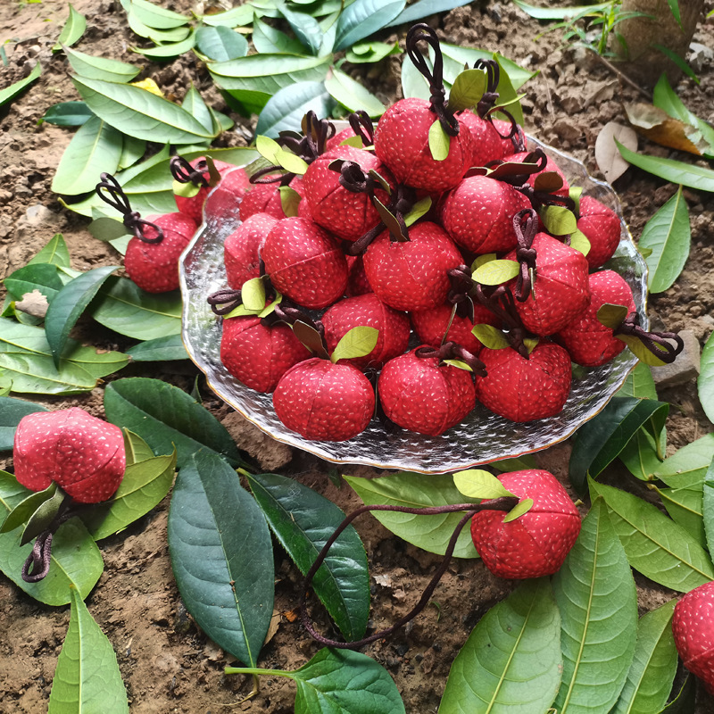 Tôi sẽ tặng cô một món quà từ loại thảo dược đầu tiên.