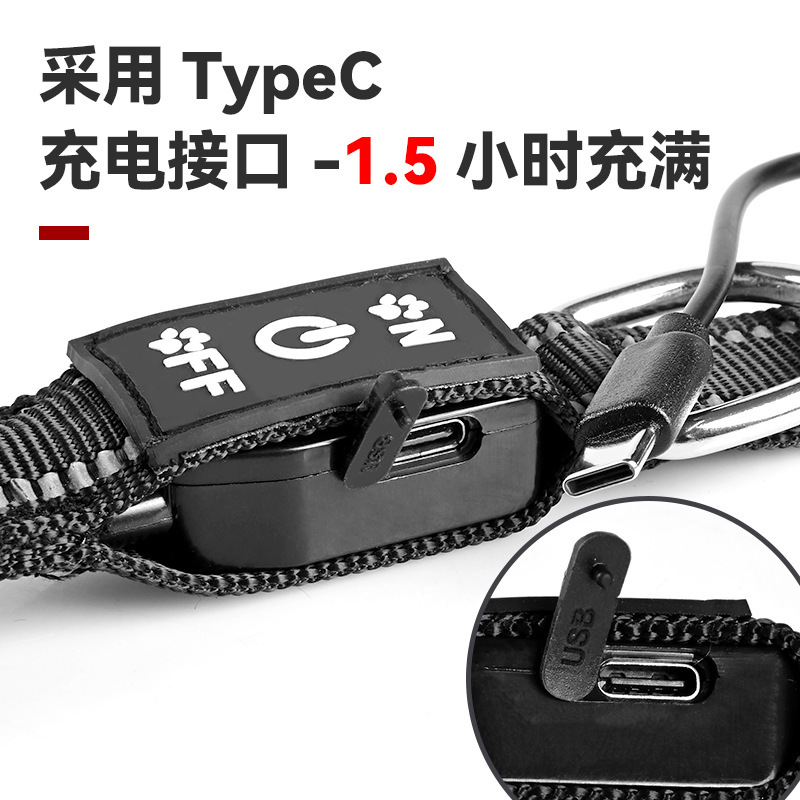 Đèn LED thú cưng của chúng ta, nút kẹp cổ áo, loại C không thấm nước, rồi lăn chúng ra vào ban đêm.