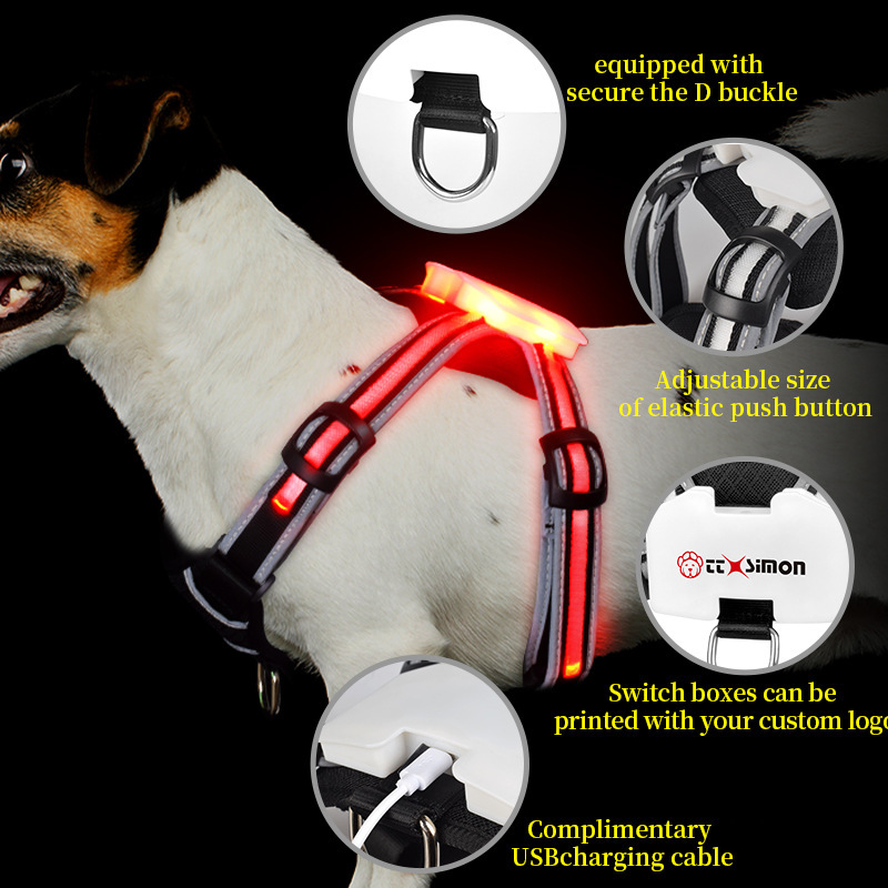 Áo chống đạn cỡ nhỏ, áo chống đạn cỡ trung, thắt lưng đèn LED.