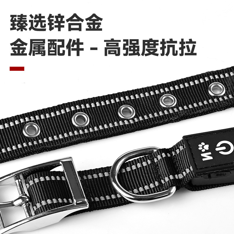 Đèn LED thú cưng của chúng ta, nút kẹp cổ áo, loại C không thấm nước, rồi lăn chúng ra vào ban đêm.