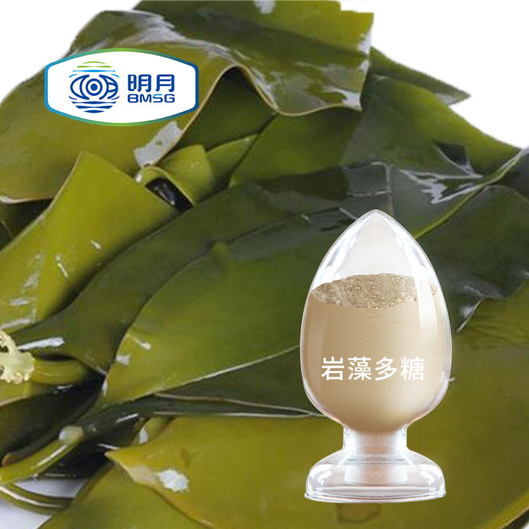 Food-grade magmal algae, sugary/brown algae/carb algae polysulphate