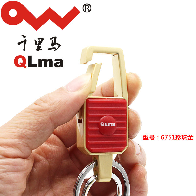Toàn bộ xe của đàn ông với chìa khóa đến chìa khóa kim loại mới để thăng chức.