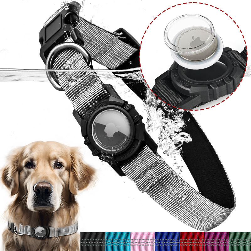 Cổ áo con chó máy bay với vòng cổ trong suốt trên những thứ tiện lợi nước và cổ áo bảo vệ chống ma túy