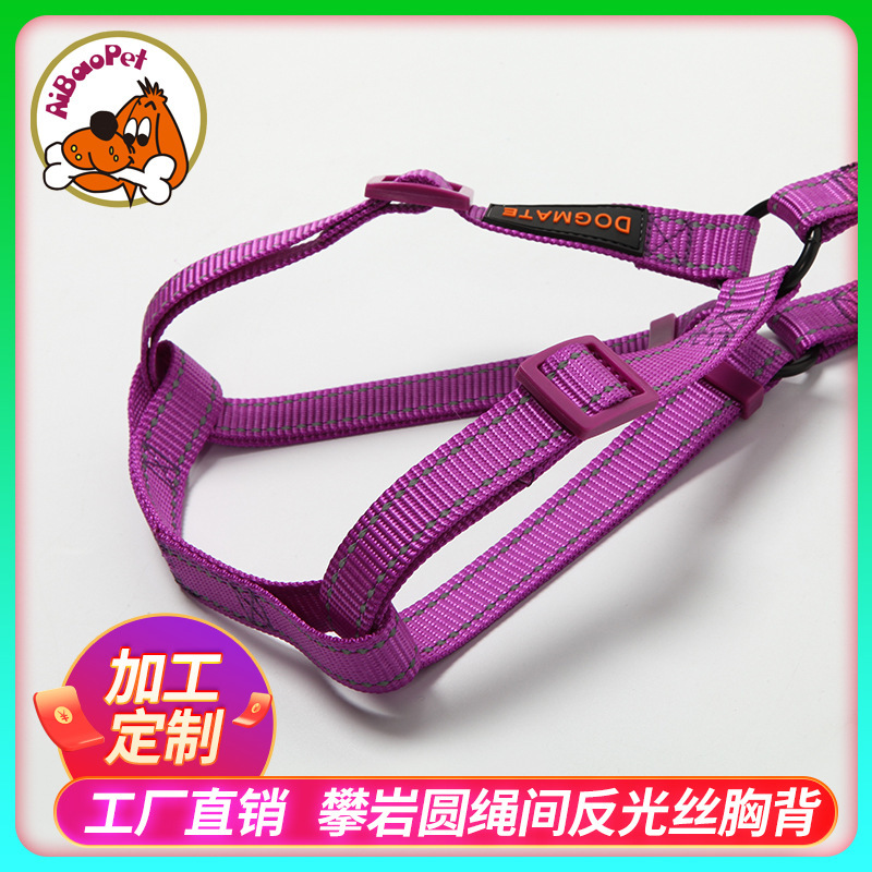 Một cái đai con chó nhỏ có hình dạng chuỗi chống cắn của một con chó để giữ một con chó trong đêm.