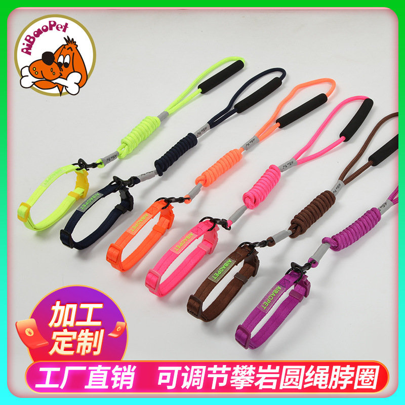 Một con thú cưng nóng bỏng bị kéo dây, thắt lưng chó, cỡ nhỏ và cỡ vừa với khớp thần kinh.