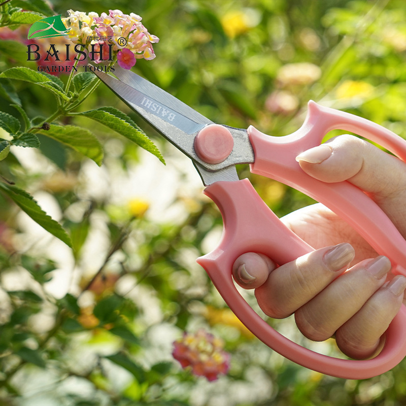 Kéo kéo không rỉ mới để làm vườn.