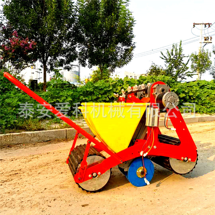 Home-based single-carp-planted garlic grower, and a garlic grower.