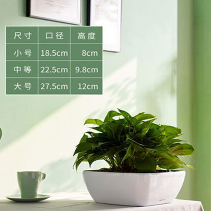Thực vật cung cấp bồn nước tự động.