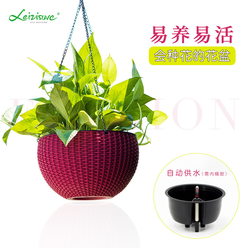 Cây này cung cấp bình nước, những viên quả lê hình trụ, lực hút tự động của cái giỏ, cái thùng.