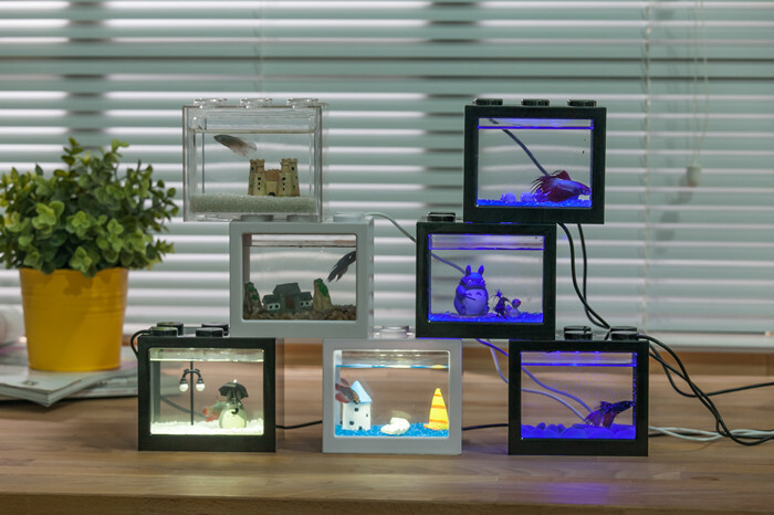 Architectural view viewing wall-mounted fish tank, Acricular gold tank aquarium