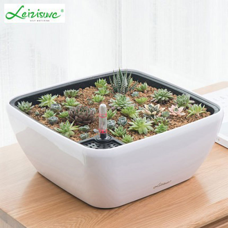 Thực vật cung cấp bồn nước tự động.