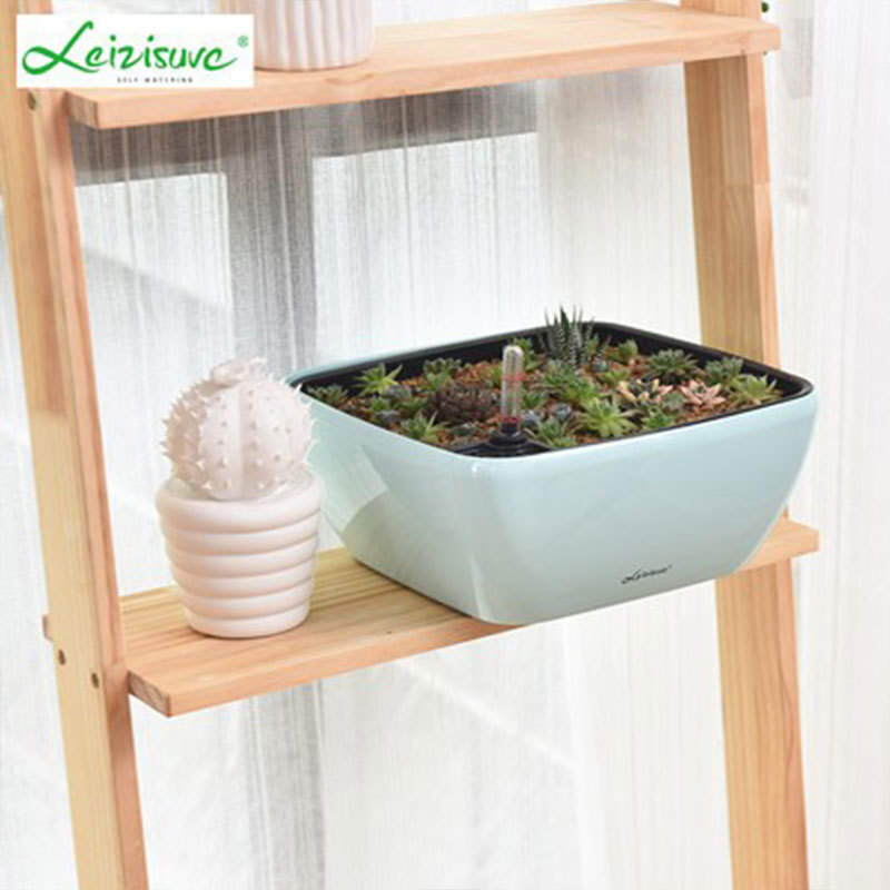 Thực vật cung cấp bồn nước tự động.