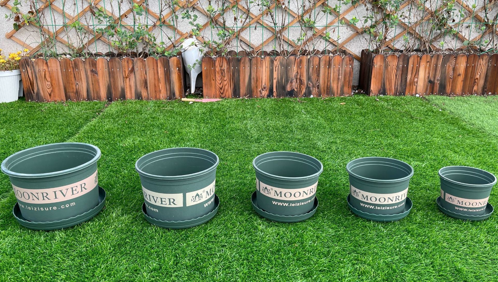 Tùy chỉnh thùng chứa gallon, cây dứa xanh lá cây và một thùng chứa gallon.