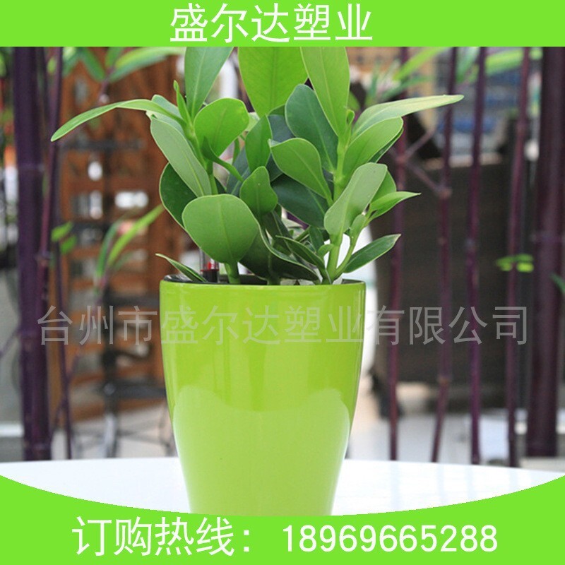 Nhà máy cung cấp cho những người lười biếng một cái nồi tự hút thuốc, những củ cải xanh nhỏ với một cái nồi tự hút thuốc, nhà máy với một hàng rào.