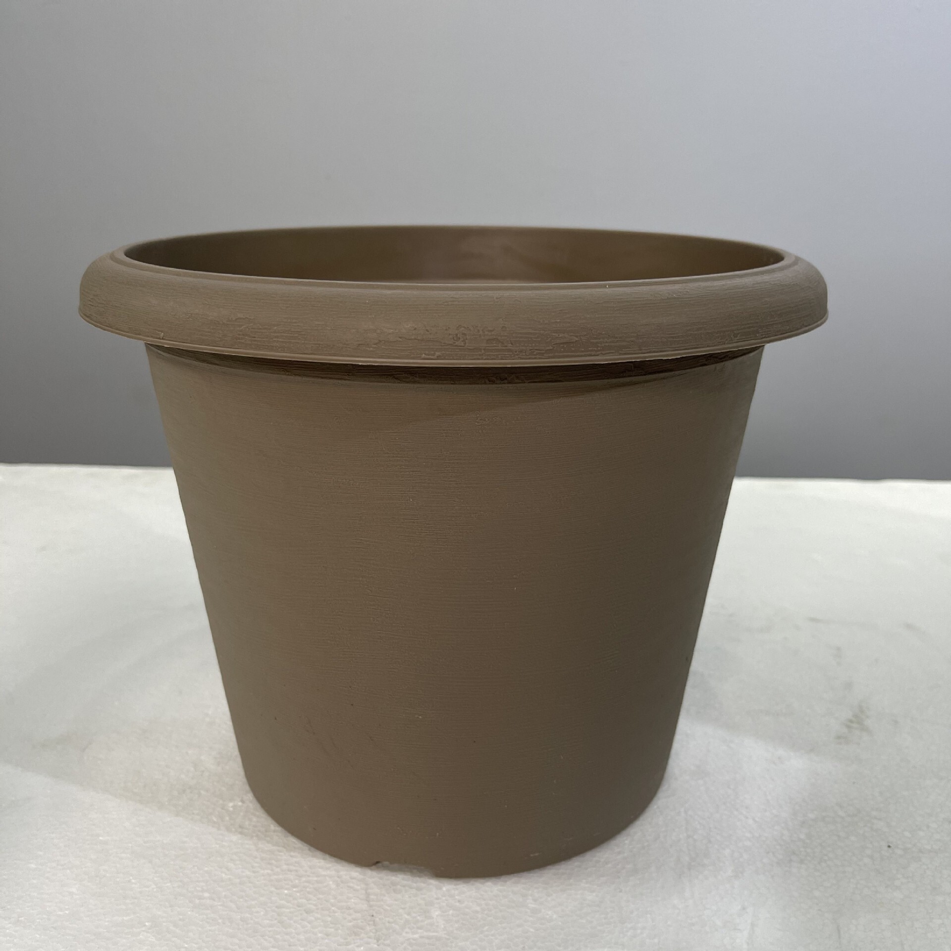 Cây này là cho các chậu hoa phía bắc, tròn baketed, lười biếng, nodalphagus.