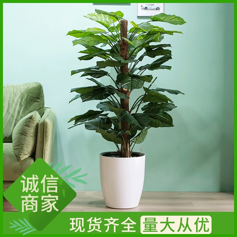 Tùy chỉnh các viên đạn tự hấp thụ.