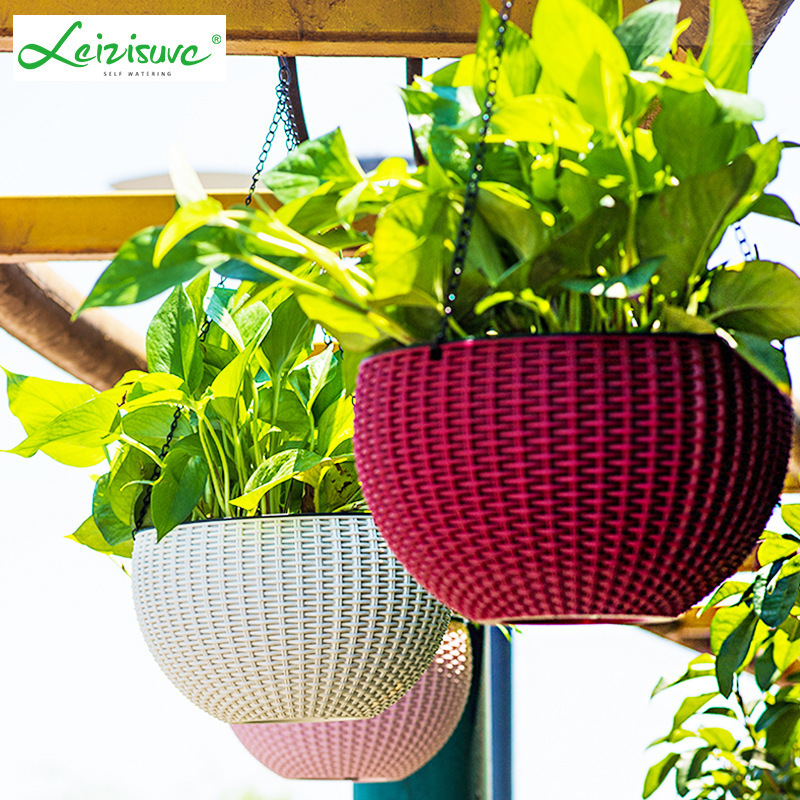 Cây này cung cấp bình nước, những viên quả lê hình trụ, lực hút tự động của cái giỏ, cái thùng.