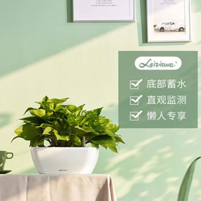 Thực vật cung cấp bồn nước tự động.