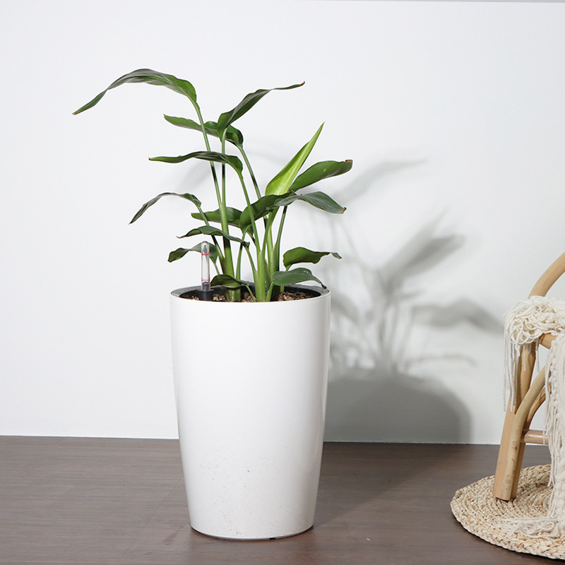 Nhà máy thích nghi với các chậu hoa lười biếng, phòng khách bằng nhựa, các chậu hoa lười biếng, tùy chỉnh.