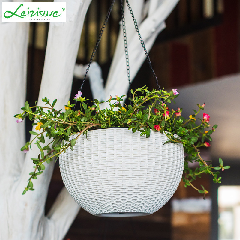 Cây này cung cấp bình nước, những viên quả lê hình trụ, lực hút tự động của cái giỏ, cái thùng.