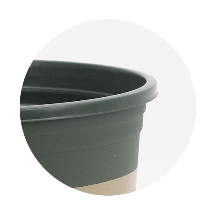 Tùy chỉnh thùng chứa gallon, cây dứa xanh lá cây và một thùng chứa gallon.