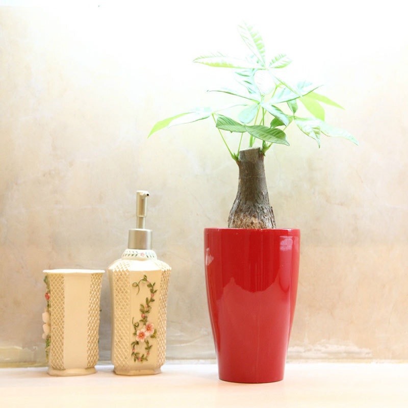 Nhà máy cung cấp cho những người lười biếng một cái nồi tự hút thuốc, những củ cải xanh nhỏ với một cái nồi tự hút thuốc, nhà máy với một hàng rào.