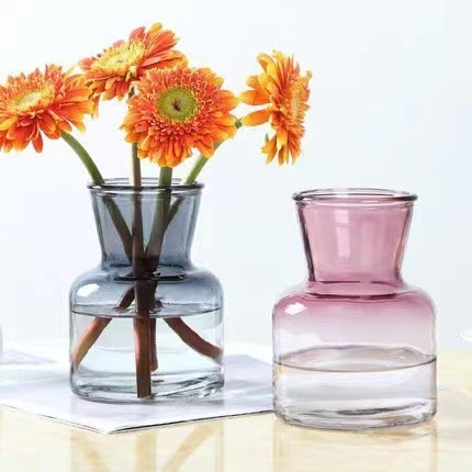 Một nhà kính kiểu châu Âu đơn giản, thủy tinh thủy tinh sáng tạo và trong suốt thiết lập hoa khô
