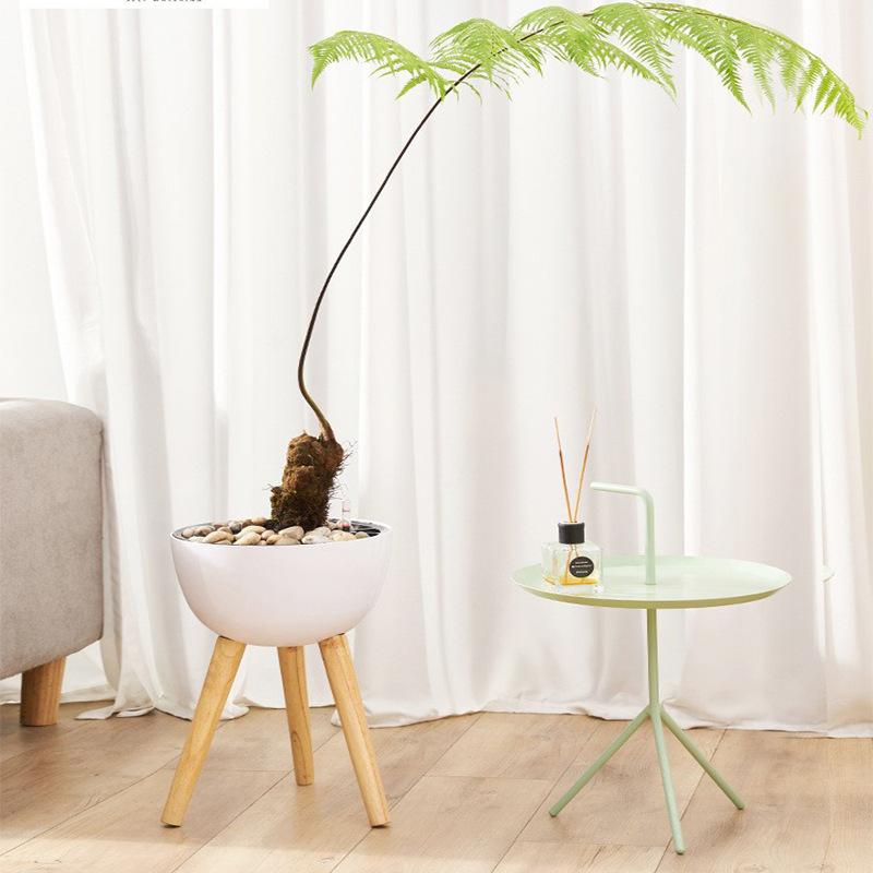 Nhà máy cung cấp cho người lười biếng những bồn nước riêng của họ, nhựa tròn với bàn chân xuống, những bồn nước riêng và hàng hóa.