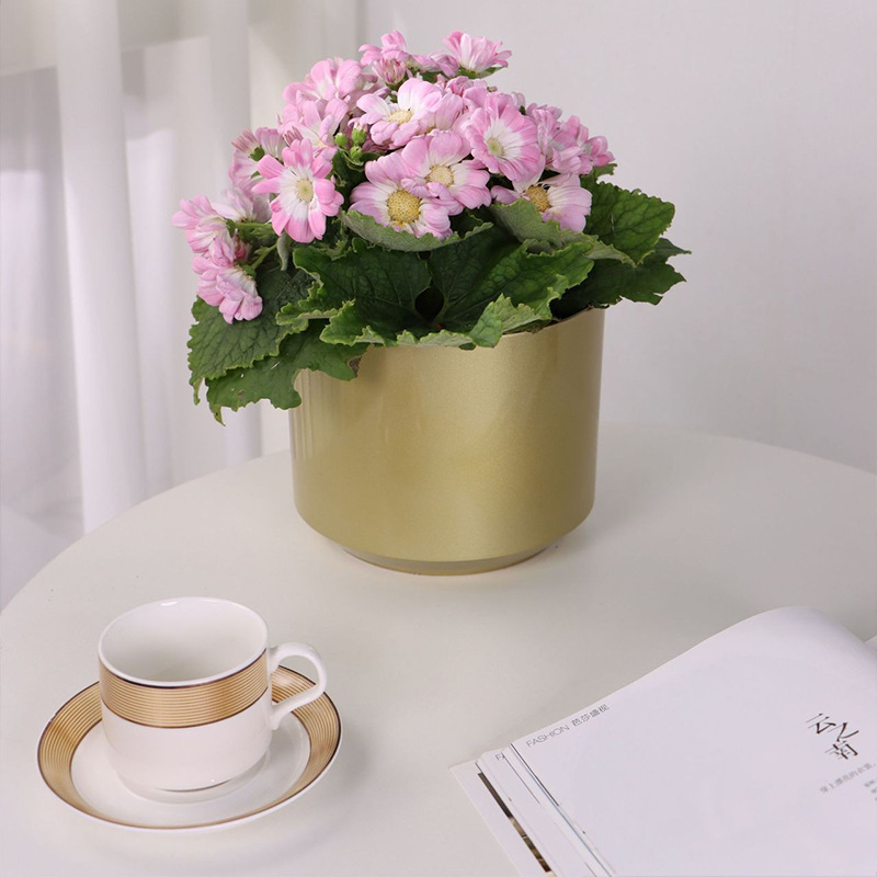 Nó dành cho chậu hoa Bắc Âu, một cái nồi nướng tròn của những người lười biếng, một cái nồi hoa Bắc Âu, và một cái thùng.