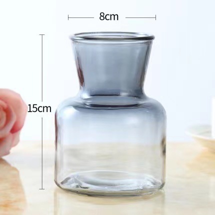 Một nhà kính kiểu châu Âu đơn giản, thủy tinh thủy tinh sáng tạo và trong suốt thiết lập hoa khô
