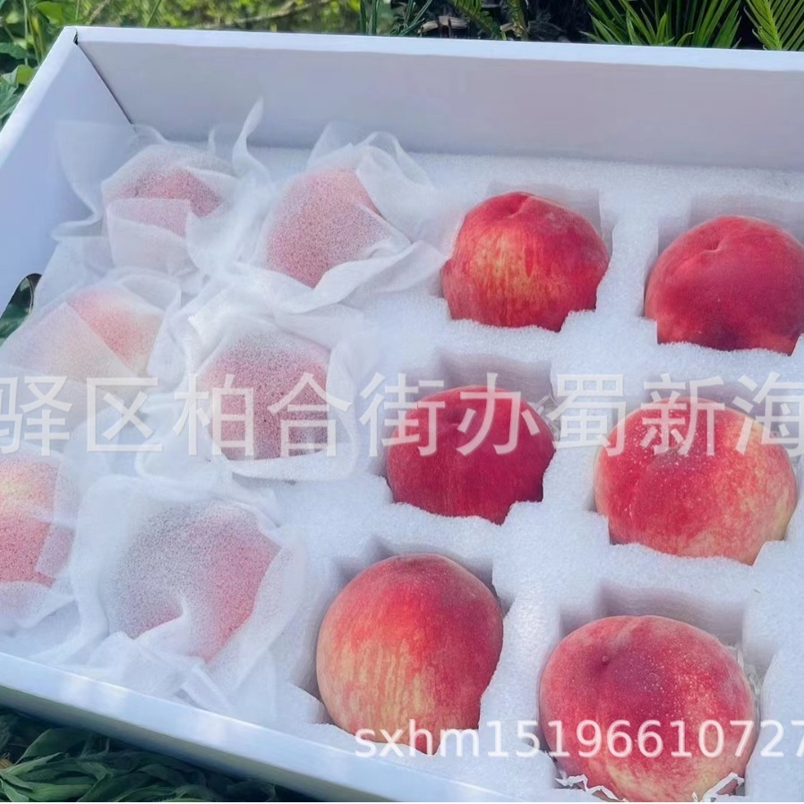 厂家供应李子桃子水果包装泡沫/珍珠棉水果缓冲泡沫