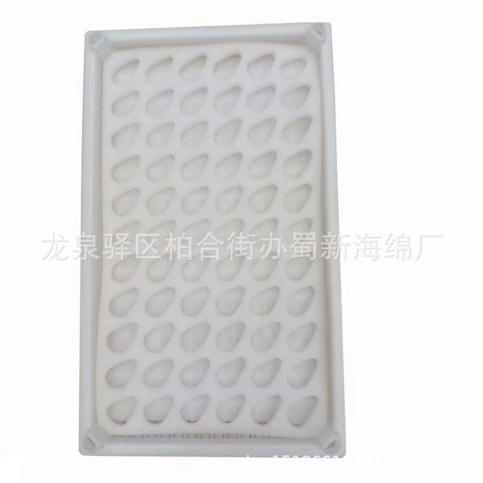 Plant supply of strawberry white sponge pads/66 77 strawberry sponges