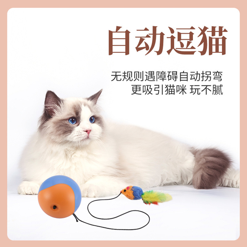 自动逗猫球发声老鼠猫咪自嗨解闷耐咬磨牙猫咪玩具宠物玩具静音