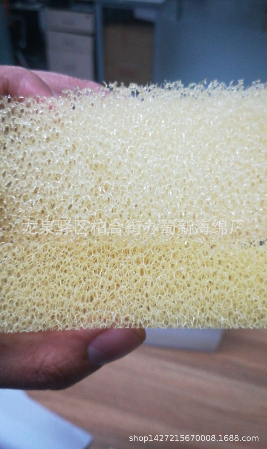 Plant supplies filtration of cotton/spring dust-proof sponge/experimental fungi fillings with thick, yellow, black holes